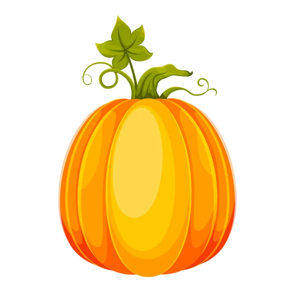 Caricature Citrouille Grosse Citrouille Fraîche Utilisable Pour Jour Thanksgiving Halloween — Image vectorielle