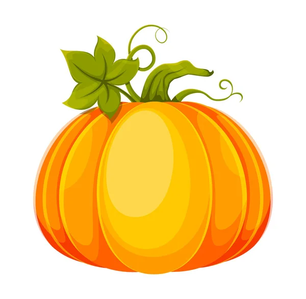 Caricature Citrouille Grosse Citrouille Fraîche Utilisable Pour Jour Thanksgiving Halloween — Image vectorielle