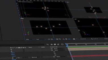 yazılım düzenleyici video