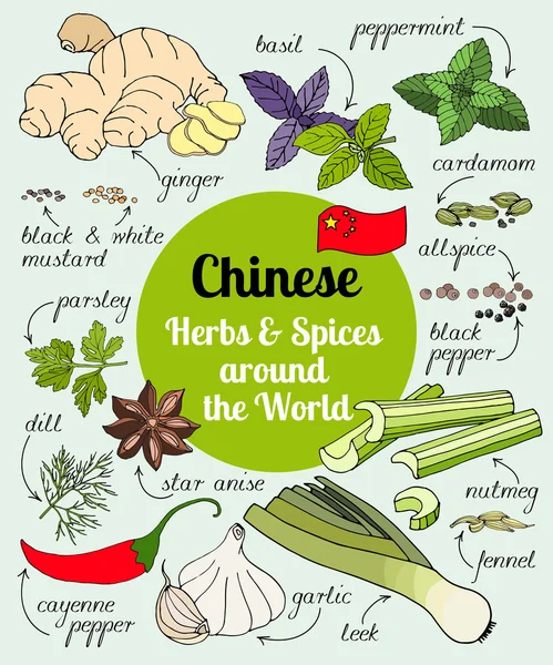 Herbes et épices chinoises . — Image vectorielle