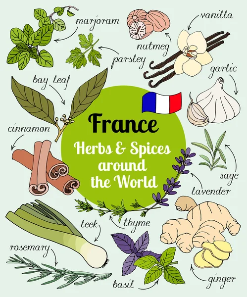 Francia hierbas y especias . — Vector de stock