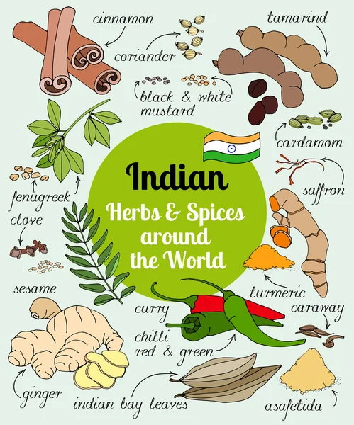 Hierbas y especias indias . — Vector de stock