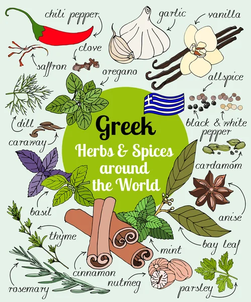 Ελληνικά Βότανα και μπαχαρικά. — Διανυσματικό Αρχείο