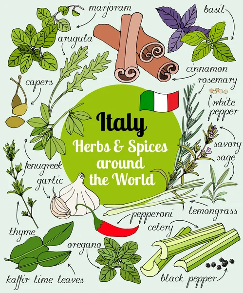 Włochy, zioła i przyprawy. — Wektor stockowy