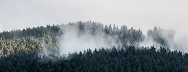 Krajina s horami. — Stock fotografie