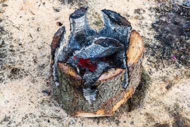 Doğada oduncu şöminesi.