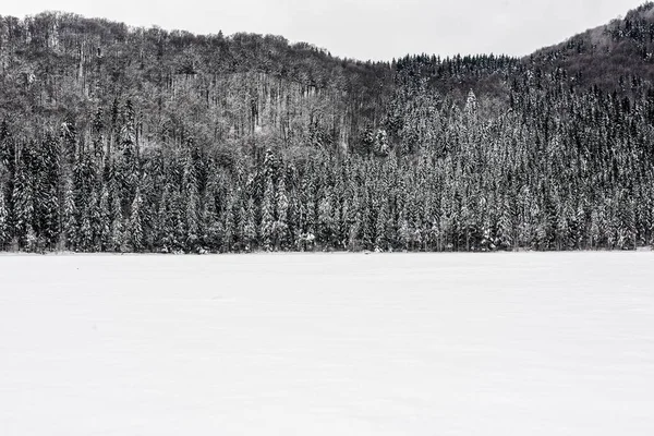 Paisagem Inverno Lago Santa Ana Romênia Floresta Inverno Para Fundo — Fotografia de Stock