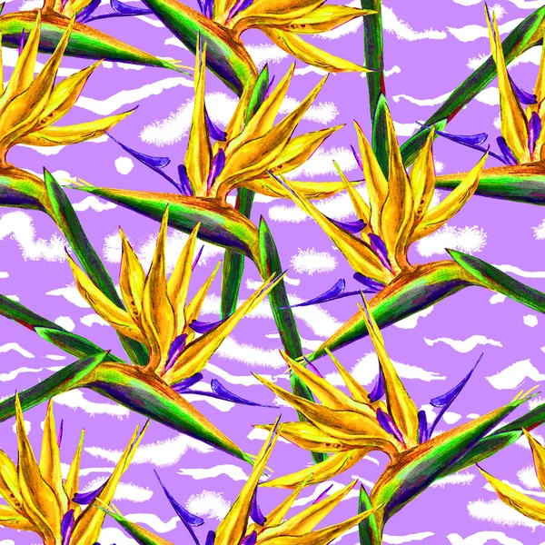 tropical floral seamless pattern