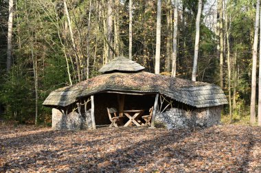 Ormandaki eski terk edilmiş ahşap bina.