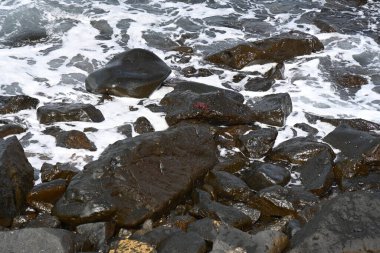 İsrail 'in kuzeyindeki Akdeniz kıyısındaki taşlar.