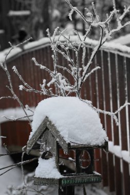 Karla kaplı ağaçlarla kaplı kış manzarası
