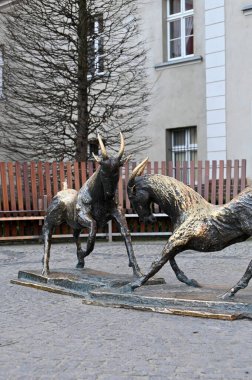 Parktaki atlar, Poznan, Polonya