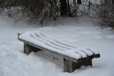 Parkta ahşap bir bank.