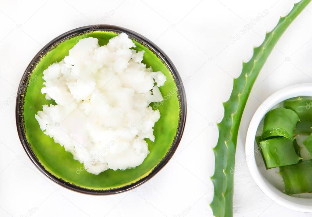 Coconut oil and aloe leaves on a white background.