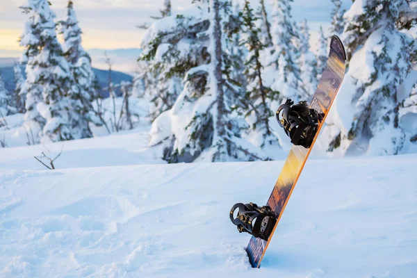 Snowboard Neve Nas Montanhas Sheregesh Fundo Árvores Cobertas Neve Muita — Fotografia de Stock