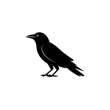 This image displays a detailed, sleek, black raven silhouette, positioned in profile against a plain white backdrop. This is a vector illustration ideal for graphics.