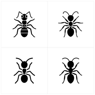 Bu resim, temiz beyaz arka planda dört farklı siyah karınca silueti gösteriyor. Her karınca vücut şekli ve bacak konumlandırmasında benzersiz varyasyonlar gösterir.
