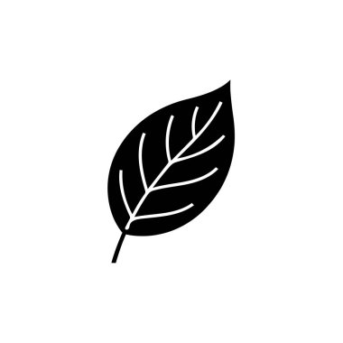 Bu resim bir yaprağın basit bir siyah beyaz grafiğini gösteriyor. Yaprağın belirgin damarları ve sapı var, hepsi de beyaz arka planda..