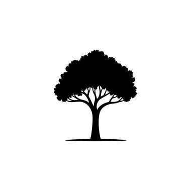 Tek bir ağaç silueti, kalın, yuvarlak bir taç ve sağlam bir gövdeden yapraklara kadar uzanan iyi tanımlanmış dallarla beyaz bir zemin üzerinde gösterilir..