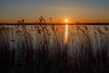 Gölet üzerinde günbatımı manzara
