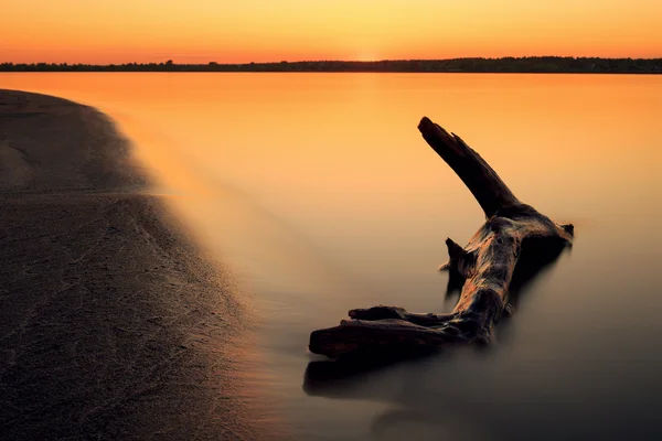 After sunset, old timber in the foreground — Stock Photo, Image