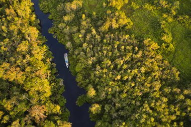 Borneo 'daki Tanjung Ulusal Parkı' ndaki tropikal yağmur ormanı ve kıvrımlı nehrin havadan görünüşü, nesli tükenmekte olan vahşi yaşam ve vahşi orangutanlara ev sahipliği yapıyor..