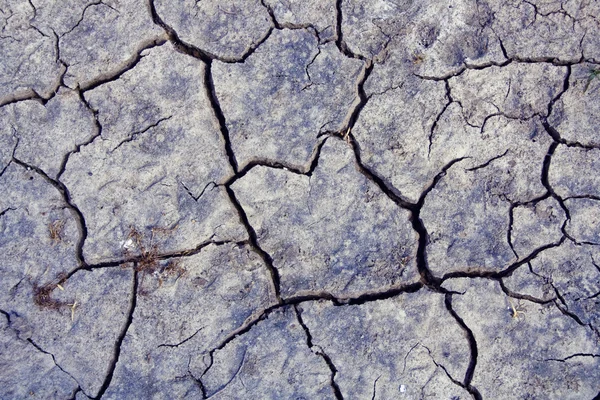 Çatlaklar dünyada, ekoloji, arzu