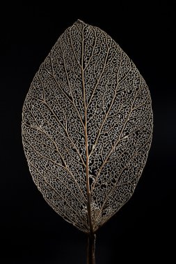 Lezzetli, sulu pizza