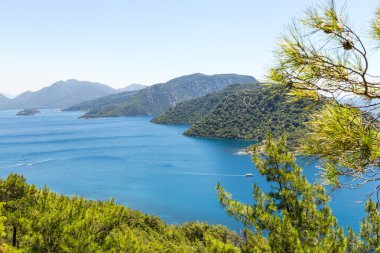 Ege Denizi güzel koyda dağlarda mavi su ve çam ağaçları ile