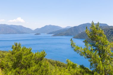 Güzel deniz mavi su ve çam ağaçları ile defne