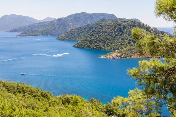 Ege Denizi güzel koyda dağlarda mavi su ve çam ağaçları ile