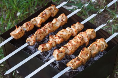 Etli mangal barbekü şiş. Tavuk şiş