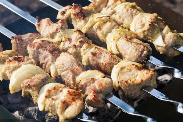 Barbecue skewers with grilled pork meat on the brazier — Stock Photo, Image