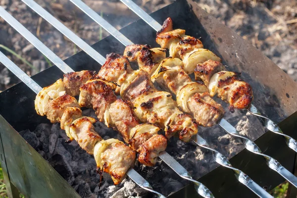 Barbecue skewers with grilled pork meat on the brazier — Stock Photo, Image