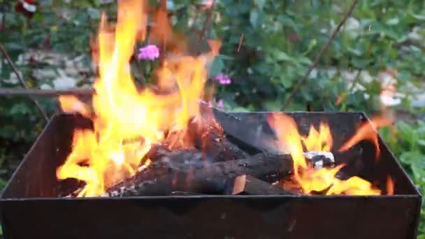 Ahşap bir mangal yakıyor. Yangın, alevler. Izgara veya Barbekü — Stok video