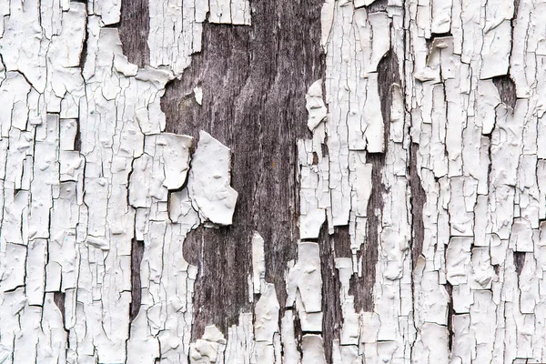 Старі дерев'яні дошки з тріщинами кольору Фарба — стокове фото