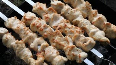 Etli mangal barbekü şiş. Tavuk şiş