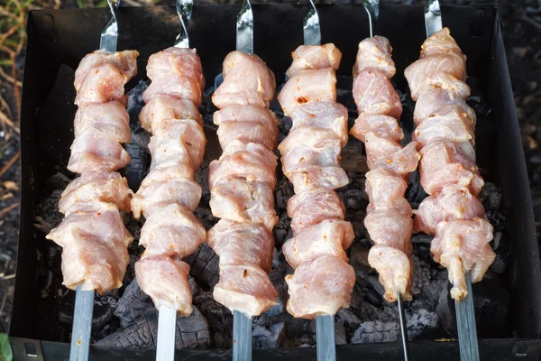 Grilované špízy s syrové maso na pánev. Kuřecí ražniči — Stock fotografie