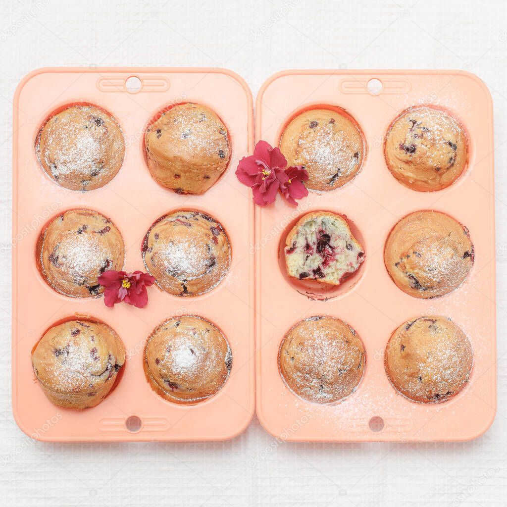 Fresh baked muffins or cupcakes in pink silicone baking tins, top view