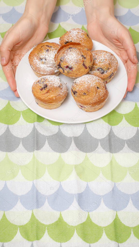 Hands of woman holding dish with fresh baked muffins or cupcakes, vertical photo with copyspace for text