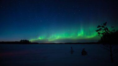 Finlandiya 'nın Pirkanmaa ormanlarında donmuş ve karlı bir göl üzerinde yeşil aurora borealis.
