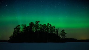 Batı Finlandiya ormanlarında donmuş bir gölün üzerinde yeşil aurora borealis ile gece gökyüzü