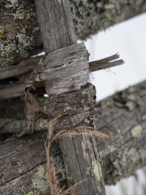 Kırık fidanlarla bağlanmış eski ahşap çitler.