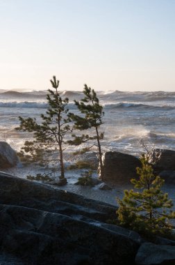 Finlandiya 'nın Pori kentinde, Bothnian Denizi kıyısında kükreyen deniz fırtınası