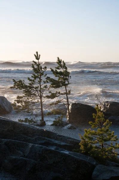Finlandiya 'nın Pori kentinde, Bothnian Denizi kıyısında kükreyen deniz fırtınası