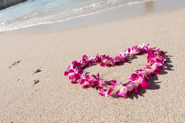 Bunga anggrek jantung Karangan bunga laut putih pasir pantai Stok Foto
