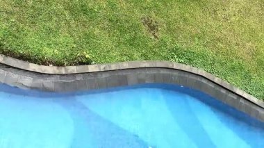 Yeşil çimlerin yanında kıvrımlı kenarları olan mavi bir yüzme havuzunun havadan görüntüsü. Sahne, sakin su, temiz fayanslar ve sakin bir açık hava havasını gösteriyor. Seyahat, tatil, spa, tatil beldesi veya yaz rahatlama kavramları için idealdir.