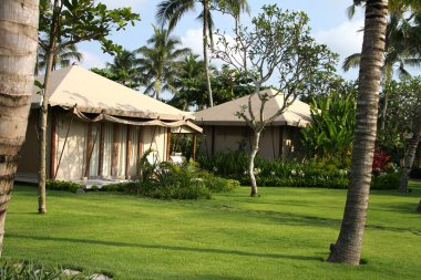 Tropikal yeşilliklerle çevrili Bali tarzı bir çadır. Tatil köyü pazarlama, eko turizm, markalaşma ve kaliteli seyahat içerikleri için mükemmel bir kullanım.