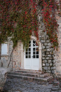 Karadağ 'ın tarihi Budva kentindeki dokulu taş bir duvarda cam kapılı yarı dairesel beyaz bir kapının fotoğrafı. Sonbahar yaprakları, mevsimsel atmosferi ve büyüleyici mimariyi ön plana çıkararak nazikçe kapı eşiğine düşer. Uygun.