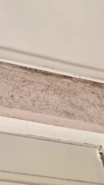  İç duvarlarda küf büyümesini gösteren video, rutubet, mantar istilası ve ev nemlendirme problemleri. Ev bakımı, sağlık riskleri, emlak denetimleri ve kapalı hava kalitesi konularında kullanışlı.